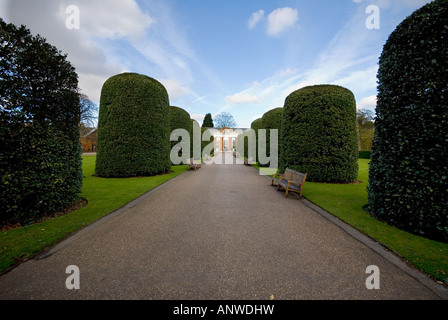 Percorso con hedge per andare al ristorante Orangery e a Kensington Palace di Londra Foto Stock