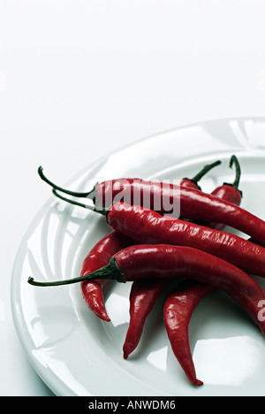 Peperoncino rosso su una piastra contro uno sfondo bianco Capsicum annuum Foto Stock