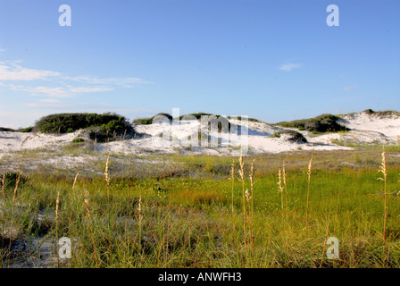 Florida Panhandle dune di sabbia Grayton Beach State Park Foto Stock