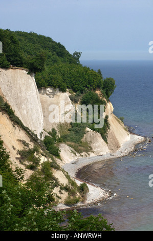 Kreidefelsen auf Rügen Deutschland Chalk scogliere sulla Rugia Germania Foto Stock