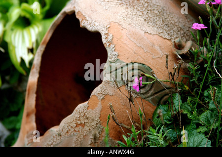 Vecchia pentola floreale con focolare foro sagomato. Foto Stock