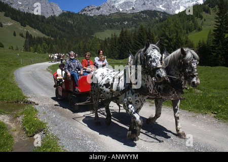 Carrello nelle Alpi, Austria, Filzmoos Foto Stock