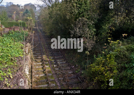 Il fieno piano inclinato in prossimità del fondo a Coalport Ironbridge Shropshire Foto Stock