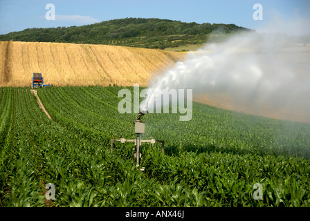 L'installazione di sprinkler irrigazione di un campo di mais in Francia, Europa Foto Stock