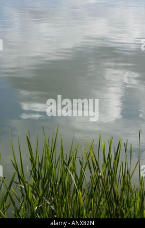 Nuvole mirroring in un lago, Polonia, Pomerania, Cassubia Foto Stock