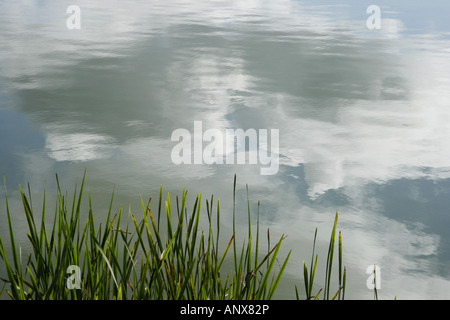 Nuvole mirroring in un lago, Polonia, Pomerania, Cassubia Foto Stock