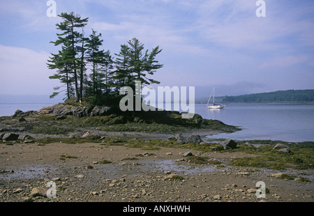 Una piccola barca a vela ancorata solo off shore nel Parco Nazionale di Acadia sulla costa del Maine vicino alla città di Bar Harbor Foto Stock