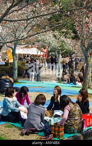 Giappone, isola di Honshu, prefettura di Kyoto, Kyoto City, il Parco di Maruyama. Hanami - un custom di godere della bellezza dei fiori. Foto Stock