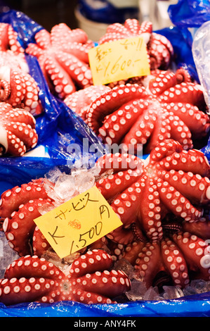 Giappone, isola di Honshu, Tokyo, il Mercato del Pesce di Tsukiji. Il polpo in vendita. Foto Stock