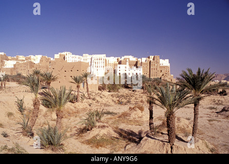 Asia, Medio Oriente, Repubblica dello Yemen, Shibam Hadramaut Foto Stock