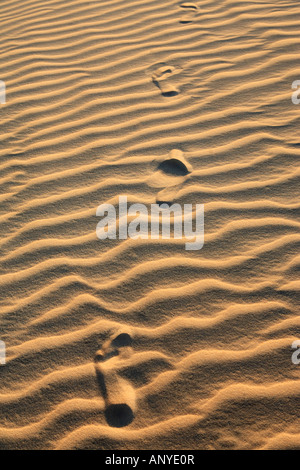 Orme sulle fluttuazioni delle dune di sabbia di cumbuco in stato di ceara brasile Foto Stock