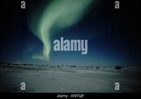Nord America - Canada - Manitoba - Churchill. Northern Lights aka Aurora Boreale. Foto Stock