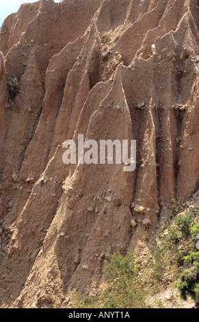 Caratteristica piramidale scogliere di arenaria nella zona Melnik Bulgaria Foto Stock