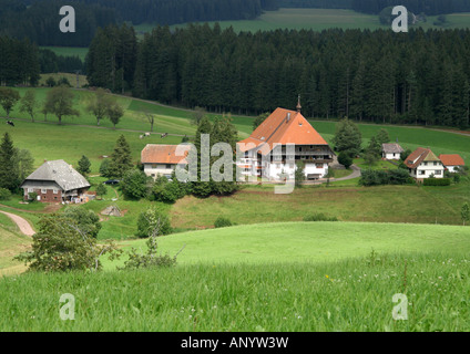 Fallerhof Foresta Nera Foto Stock