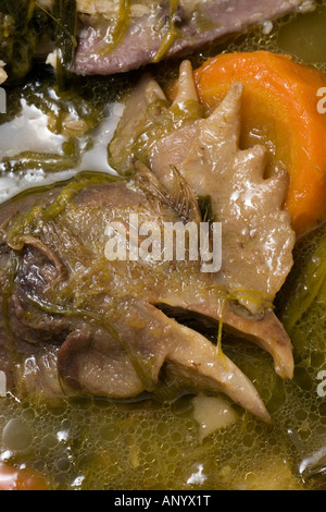 Una gallina la testa emergente dal bollito di brodo di pollo (Francia). Tête de volaille émergeant du bouillon d'une Poule au Pot (Francia) Foto Stock