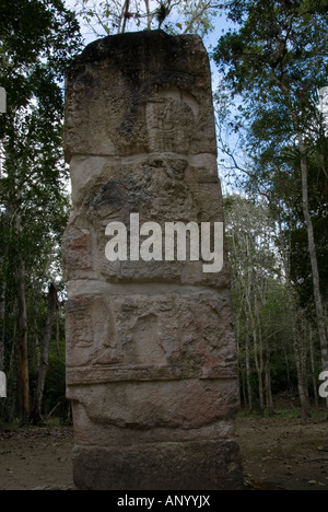 Calakmul, Messico Foto Stock