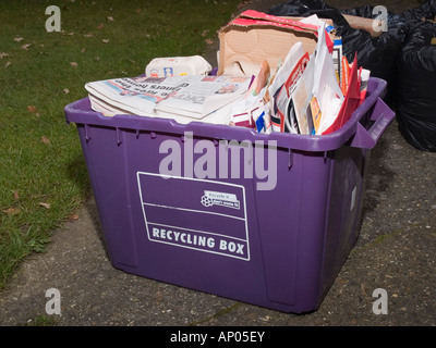 Viola home il riciclaggio scatola piena di rifiuti di carta e cartone England Regno Unito Foto Stock