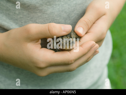 Bambino azienda toad, close-up delle mani Foto Stock