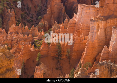 Bryce Canyon Hoodoes e scogliere dal punto di tramonto USA Utah Foto Stock