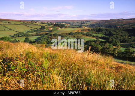 Vista lungo la dale di Commondale vicino a Castleton in North York Moors National Park Foto Stock