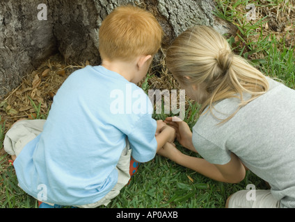 Due bambini la cattura del piccolo animale in corrispondenza della base della struttura ad albero Foto Stock