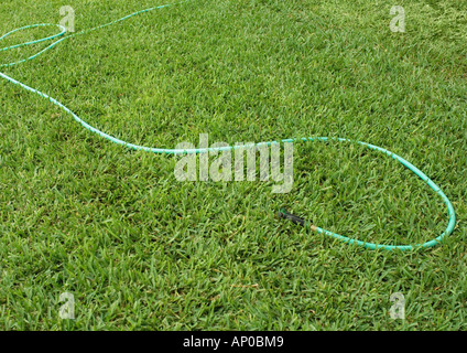 Tubo flessibile da giardino sdraiati sull'erba Foto Stock