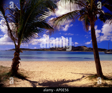 Palme ondeggiano nella brezza sulla Baie de L Embouchre beach sull'isola caraibica di St Martin Foto Stock