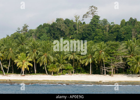 Le lance area sinistra isole mentawai Indonesia Foto Stock