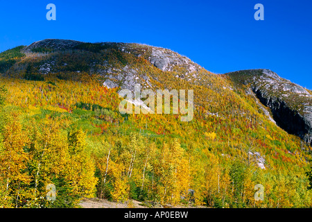 I colori dell'autunno fogliame presso il Parc national des Grands Jardins Foto Stock