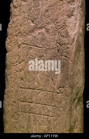 Grantown on Spey annuncio 700 Red Deer stone carving Foto Stock