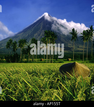 Ricefarmer e Vulcano Mayon vicino a Legazpi City, Legazpi, isola di Luzon, Filippine Foto Stock