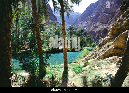 Wadi Fusc oasi, Wadi Fusc, Oman Foto Stock