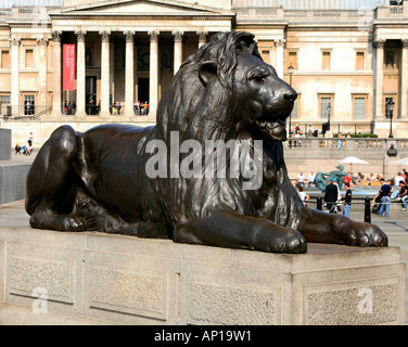 Leone di Bronzo statua a Trafalgar Square a Londra Foto Stock