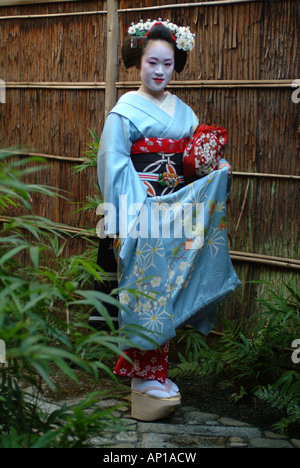 Una Geisha in formazione, Masayo Maiko, Kyoto, Giappone Foto Stock