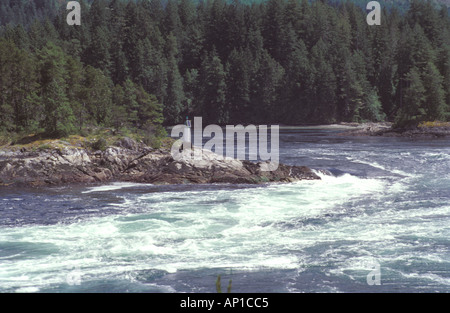 Acqua di sale di marea a rapids Skookumchuck si restringe parco provinciale Foto Stock