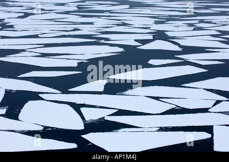 Rotto il ghiaccio pack insolente di ghiaccio nel Mare di Weddell Antartico Foto Stock