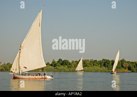 Vela su una feluca, west bank, Fiume Nilo, Aswan, Egitto, Medio Oriente. DSC 4373 Foto Stock