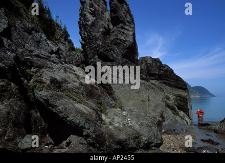 Escursioni a piedi lungo la costa di Fundy sulla Baia di Fundy in New Brunswick Canada Foto Stock