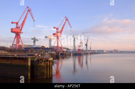 Una gru a cigno cantieri cacciatori si riflette nel fiume Tyne a Wallsend Inghilterra Foto Stock