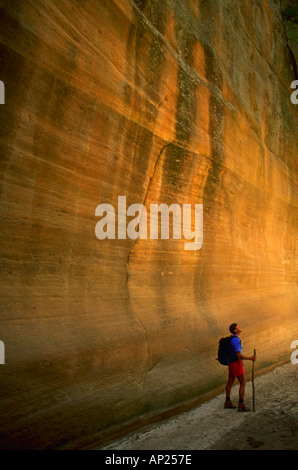 Copyright James Kay escursionista in Orderville Canyon nel Parco Nazionale di Zion nel sud dello Utah Foto Stock