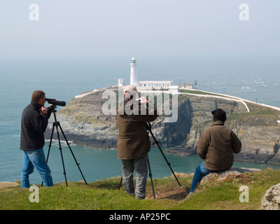 Gli amanti del birdwatching sulla scogliera mare guardando utilizzando un telescopio su treppiede da sud pila faro di Isola Santa Anglesey North Wales UK Foto Stock