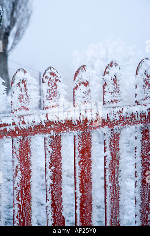 La brina su Porta Mitchells Cottage e trasformata per forte gradiente Frost Fruitlands nelle vicinanze Alexandra Central Otago Isola del Sud della Nuova Zelanda Foto Stock