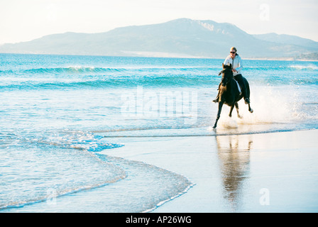 Giovane donna al galoppo su un cavallo in riva al mare Foto Stock
