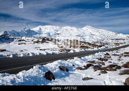 Bruce Road e Mt Ruapehu Altopiano Centrale Isola del nord della Nuova Zelanda Foto Stock