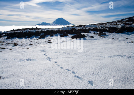 Orme nella neve e Mt Ngauruhoe del Parco Nazionale di Tongariro Altopiano Centrale Isola del nord della Nuova Zelanda Foto Stock