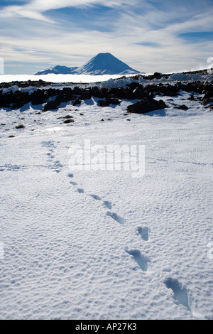 Orme nella neve e Mt Ngauruhoe del Parco Nazionale di Tongariro Altopiano Centrale Isola del nord della Nuova Zelanda Foto Stock