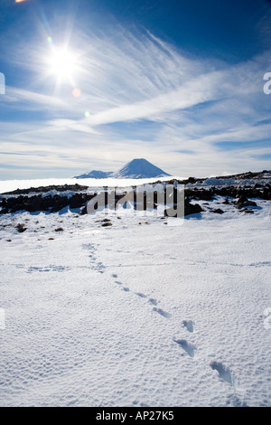 Orme nella neve e Mt Ngauruhoe del Parco Nazionale di Tongariro Altopiano Centrale Isola del nord della Nuova Zelanda Foto Stock