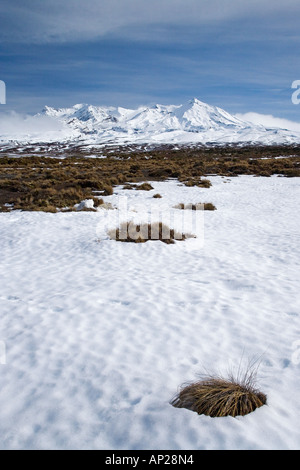 Deserto Rangipo e Mt Ruapehu Altopiano Centrale Isola del nord della Nuova Zelanda Foto Stock