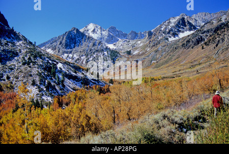 Escursionista esplora McGee Canyon nella Sierras Foto Stock