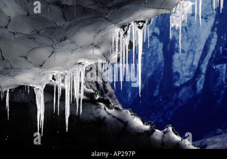 Il sole illumina il gocciolamento di acqua da ghiaccioli sul soffitto di una neve grotta santuario di ANNAPURNA NEPAL Foto Stock